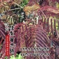 紫叶合欢 彩色乡土乔木 供应紫叶合欢嫁接苗 **合欢苗批发